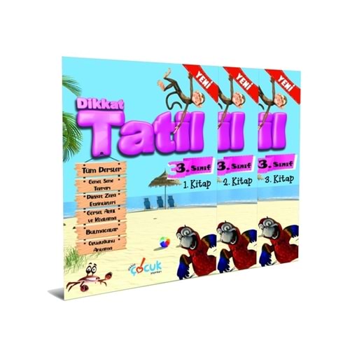 Dikkat Çocuk Yayınları 3. Sınıf Tatil Kitabı